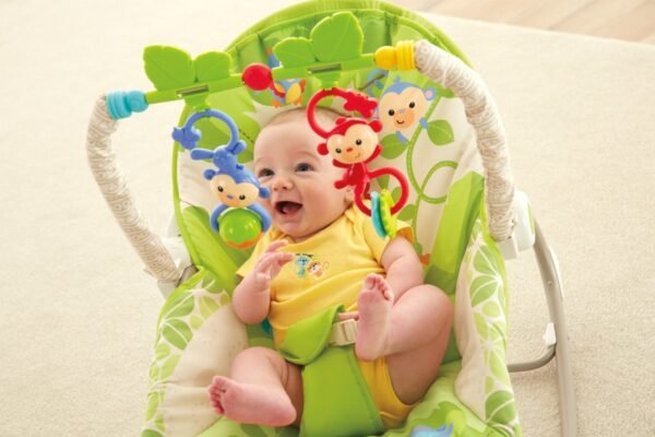 Fisher Price Infant to toddler Rocker Chair